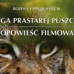 plakat film saga prastarej puszczy